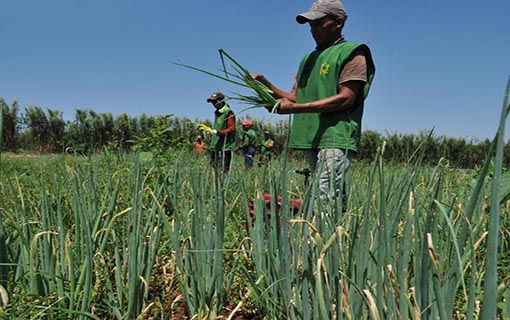 29042016_agricultura_familiar_2_EBC