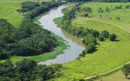 governo de São Paulo