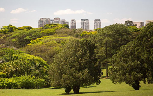 Eduardo Saraiva