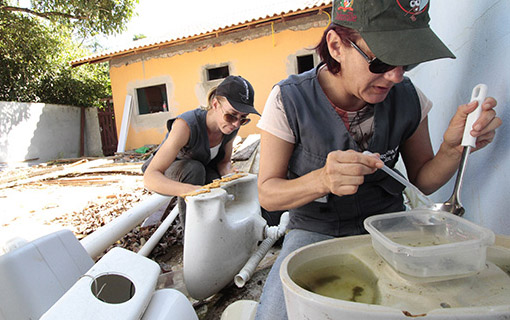 01062016_limpeza-terrenos-agentes_MSaude