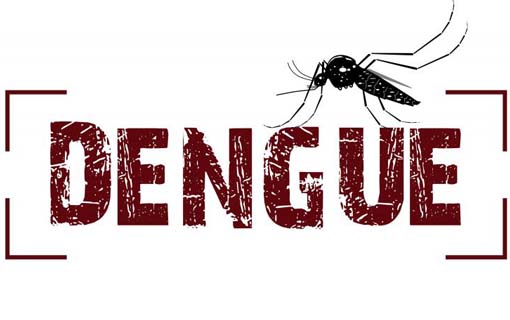 15072016_Dengue_PrefItajaiSC