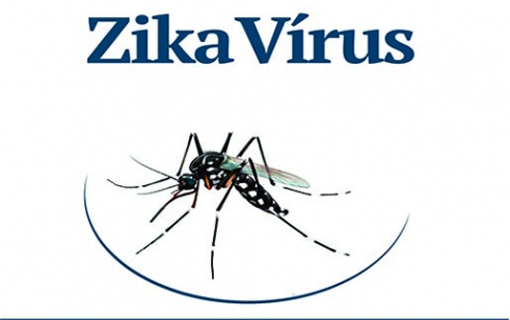 19012016_zikavirus_GovGo