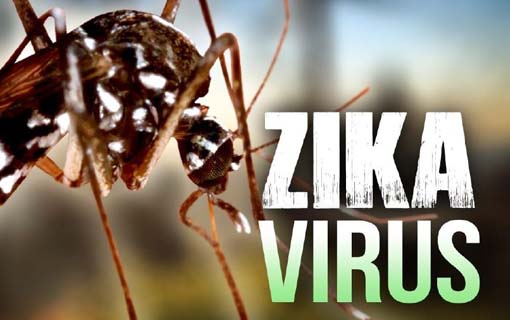 25072016_zika_govbr