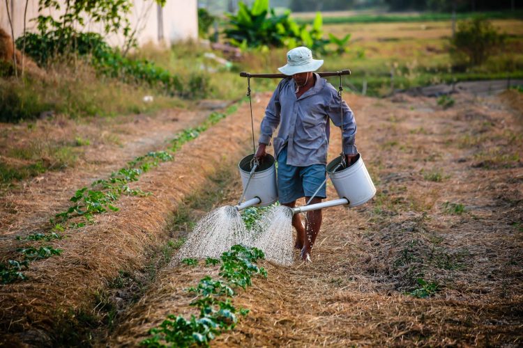 09122021 agricultores divulgacao