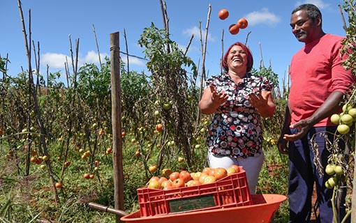 03052016 agricultura familiar ebc