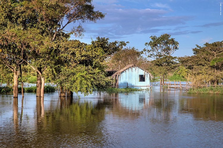 Prefeitura de Santarém/PA