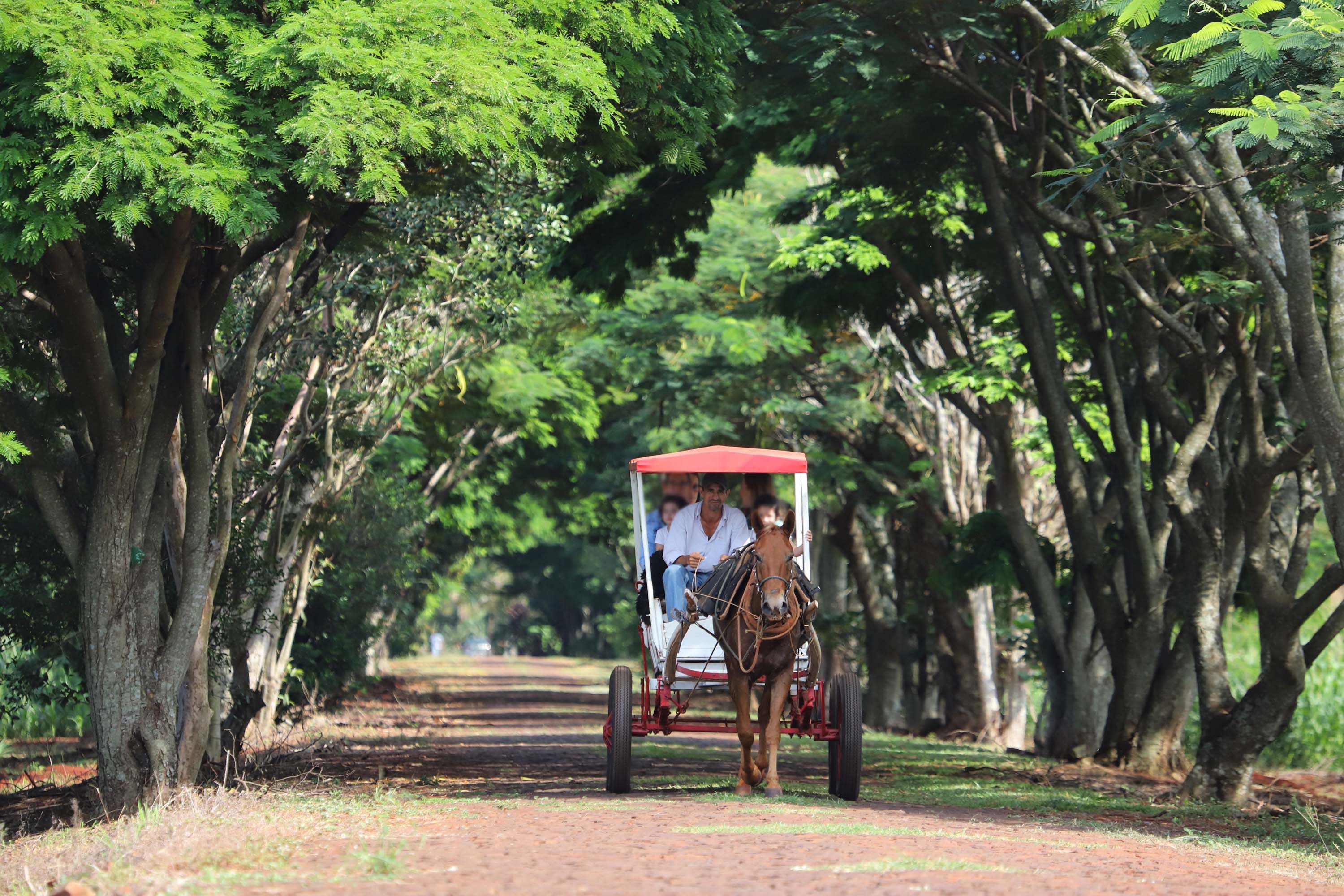 ItaipulandiaHotelItacora 006