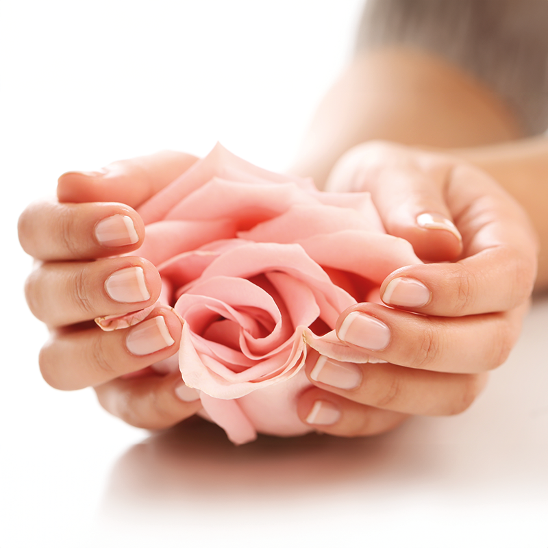 Setembro em Flor